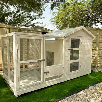 Dog House