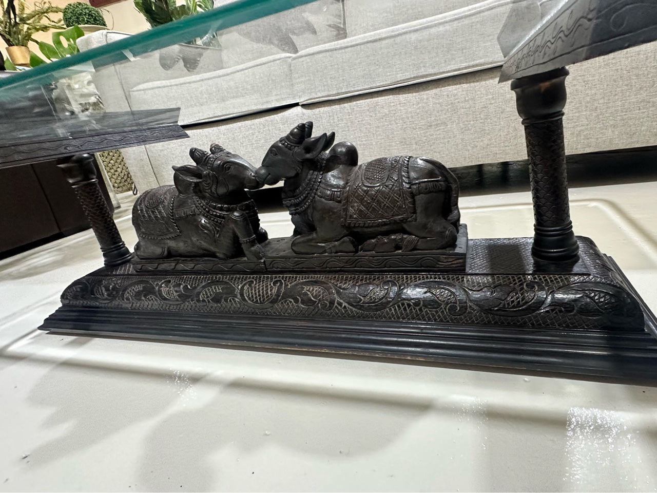 Nandi Bulls Coffee Table – Glass Top