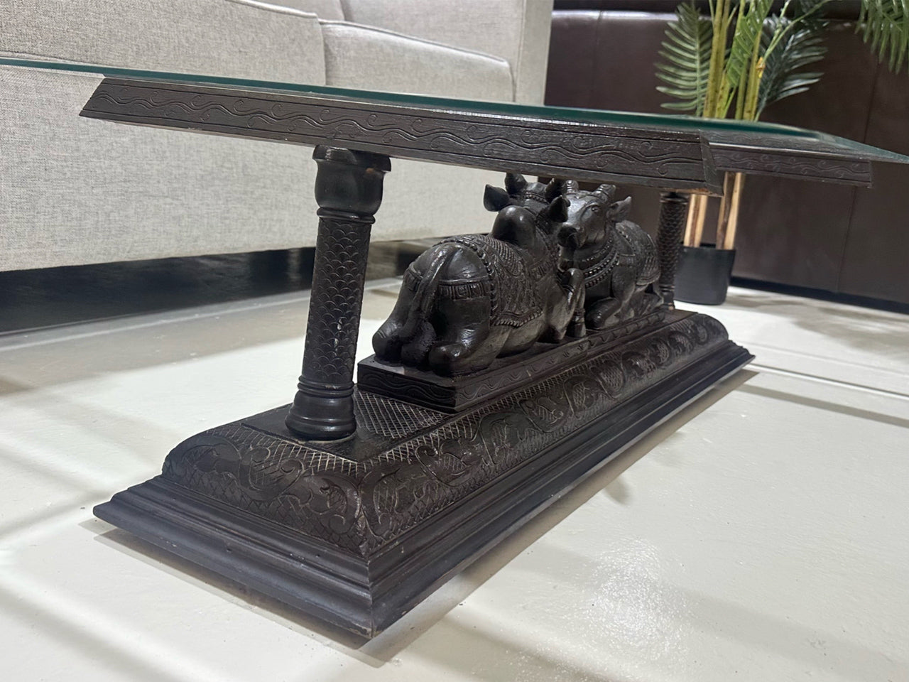 Nandi Bulls Coffee Table – Glass Top